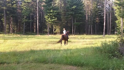 Foothills Horse Camp