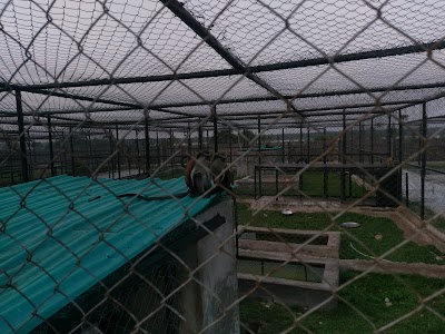 Photos of Omu Resort Ibeju Lekki