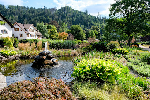 Kurpark Schönmünzach