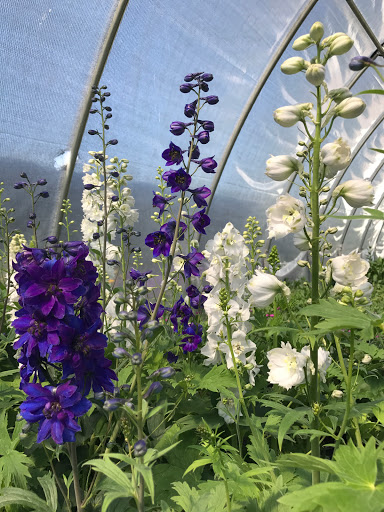 Central Landscape Supply Inc - Thumbnail