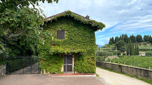 Celeste del Garda