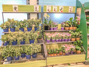 Photo n°4 de Lidl à La Teste-de-Buch (Supermarché)