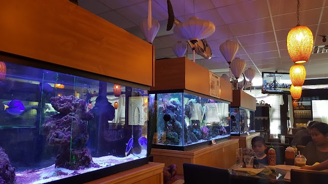 Pho Lantern Restaurant