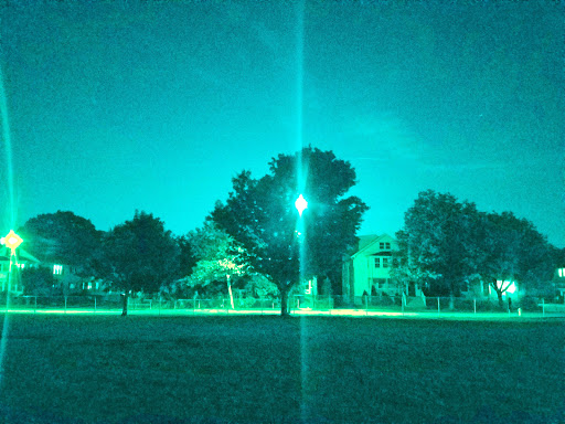 Town Field - Visual
