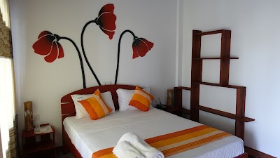 Photos of Shell Resort