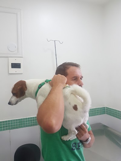 Photos of Vet Care