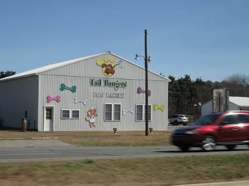 Tail Bangers - Visual