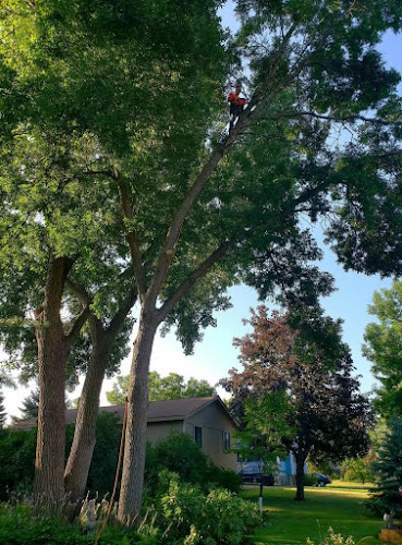 Walker landscaping