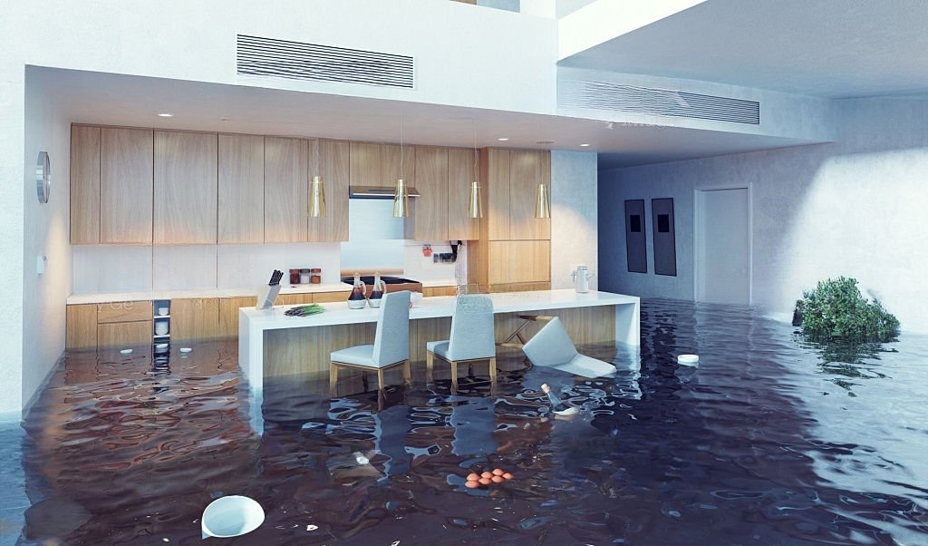 Peninsula Restoration photo