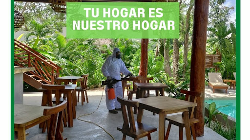 FumigAR.MX | Control de plagas urbanas