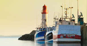 Photo n°14 de Les Lauriers à Saint-Denis-d'Oléron (Point Wi-Fi)