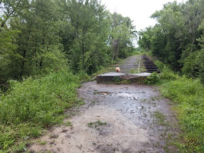 Loop Island Wetlands