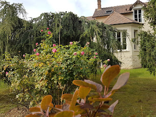 Photo n°6 de la montignonne à Montigny-sur-Loing (Hôtel)