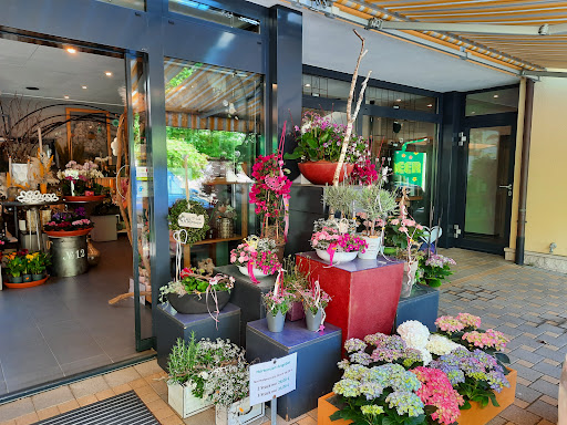 Blumen Meer Gärtnerei & Floristik