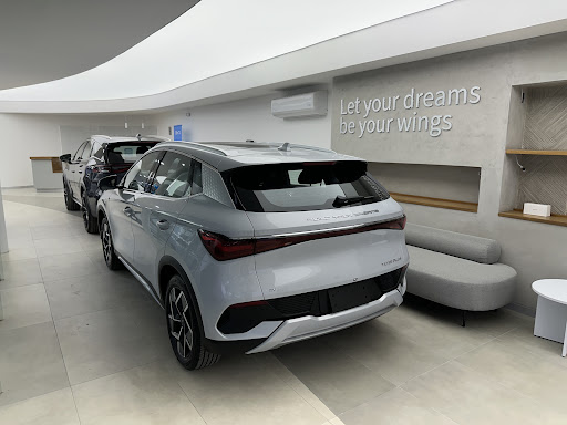 BYD - Visual