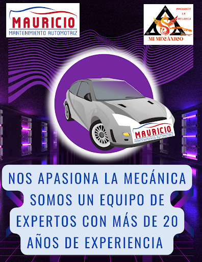 TALLER MECANICO ESPECIALIZADO * MAURICIO*
