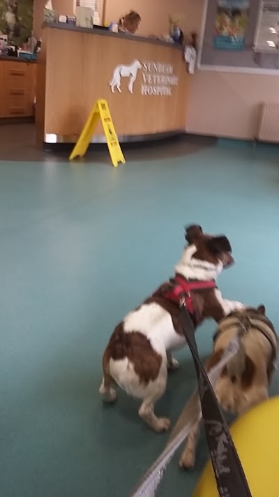 Photos of Sunbeam Veterinary Hospital