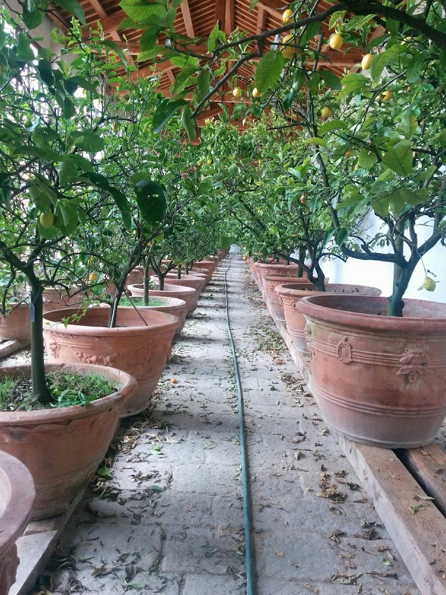 Villa Pisani Museo Nazionale