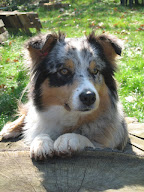 Les Yeux de Bahine à Linas