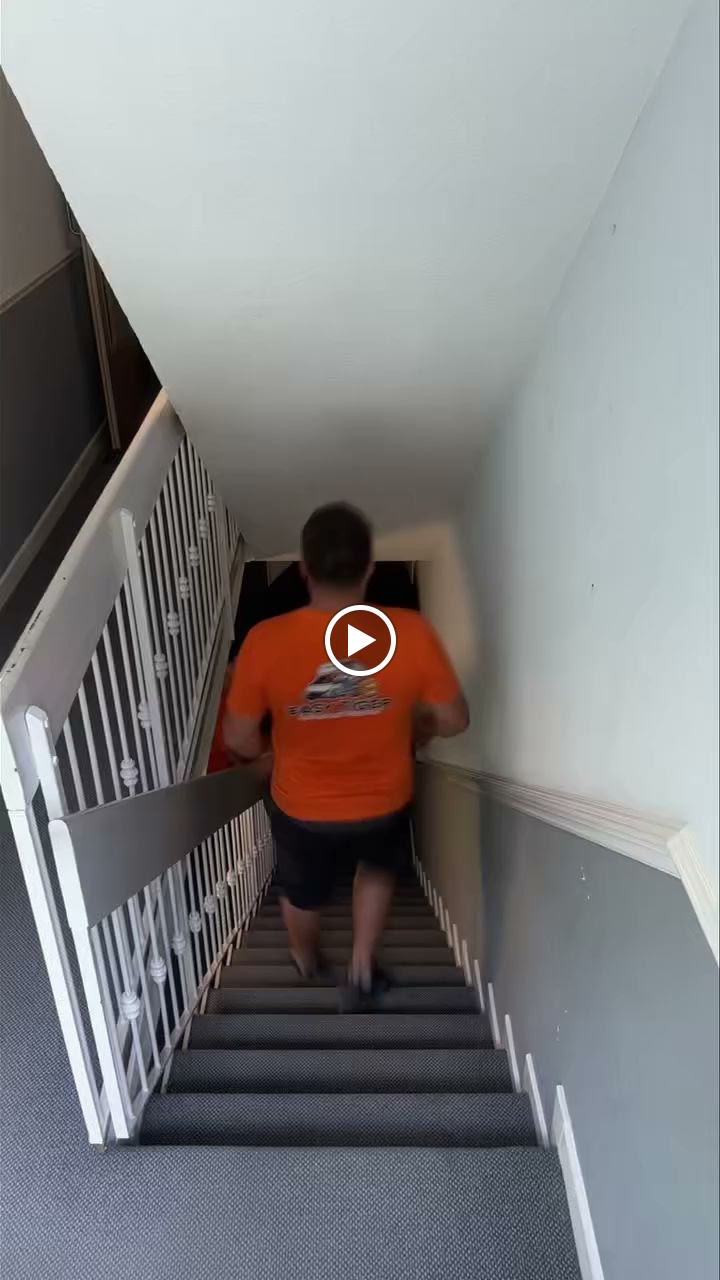 Easy Tiger Haulage and Removals photo 3