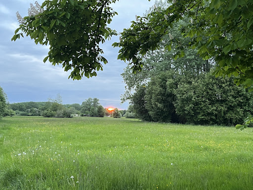 Sirene Karpfenweg - Thumbnail