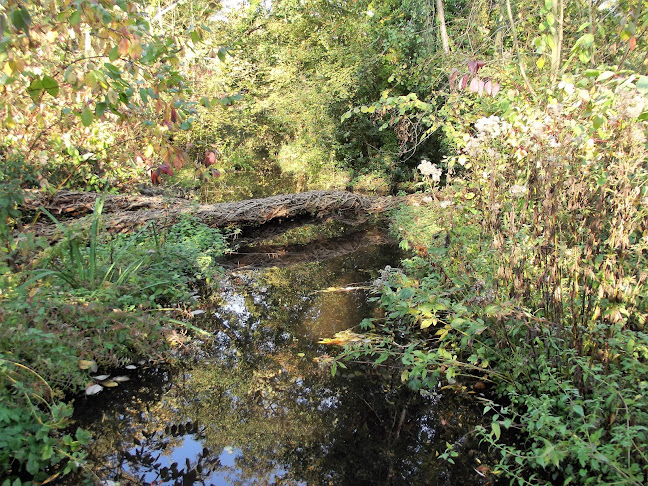 Comments and reviews of Fairhaven Woodland & Water Garden