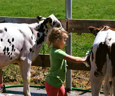 Fairmont Farm & Market