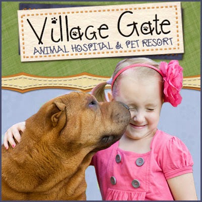 Photos of Village Gate Animal Hospital & Pet Resort