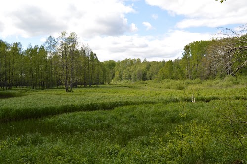 Beaver Trail