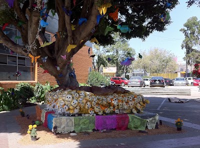 Photos of Faculty of Arts and Design UNAM