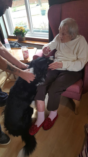 Ashill Lodge Care - Thumbnail