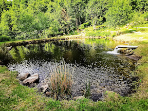 Photo n°12 de Pisciculture les sources du forez à Saint-Pierre-la-Bourlhonne (Ferme aquacole)