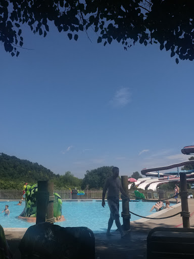 Tad Pool - Visual