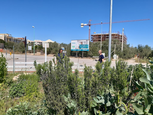 Terrapeutico - Thumbnail