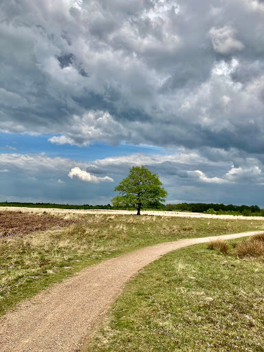 Haaksbergerveen - Vogelkijkscherm - Thumbnail