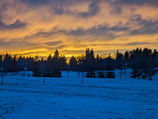 Ramsay Park - Thumbnail