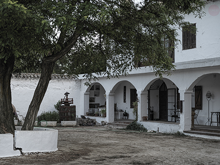 TINEDO Bodega y Viñedo / Winery and Vineyard