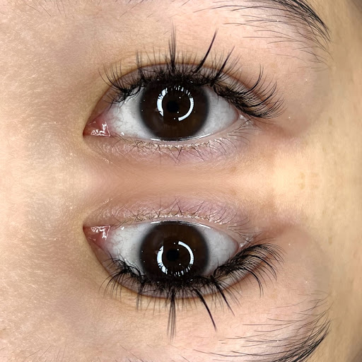 Sushi | Lashes & Beauty Gallery - Australia
