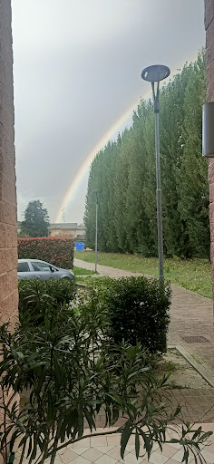 Lavanderia Maxima - Visual