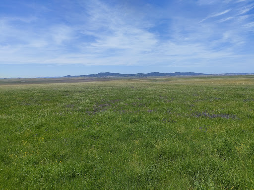 Observatorio de aves-Llanos de Cáceres