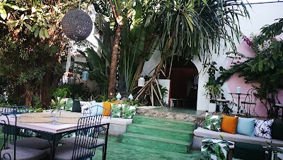 Photos of Botanica
