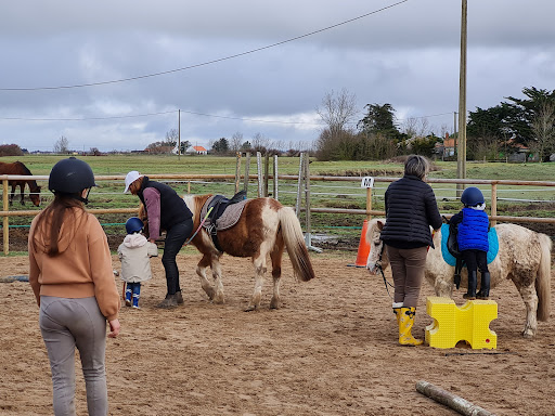 Le Cocon du Marais Poney-club. - Thumbnail
