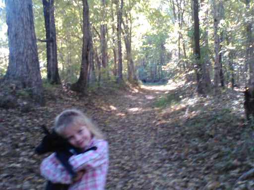 Old Trace Drive Gallery - United States