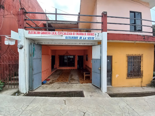 ASOCIACION GANADERA LOCAL ESPECIALIZADA DE ENGORDA DE BOVINOS GANADEROS DE LA SELVA
