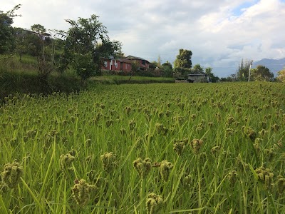 Photos of काउलिपानी देवी मन्दिर