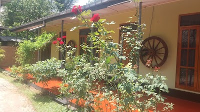Photos of villa champagne