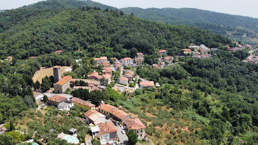Visit Lamporecchio - Ufficio informazioni turistiche - Thumbnail