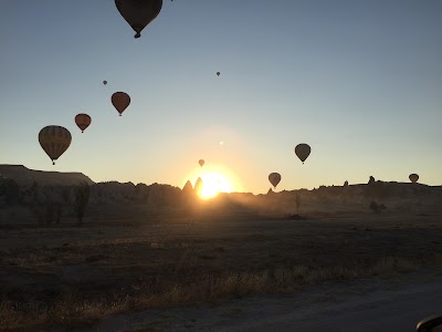 Photos of Voyager Agency