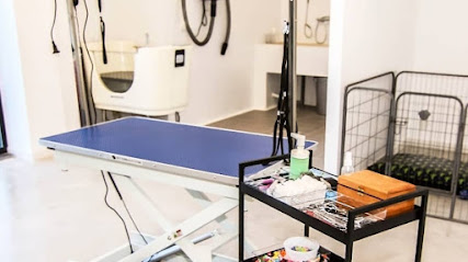 Peluquería canina y felina - Asgard.