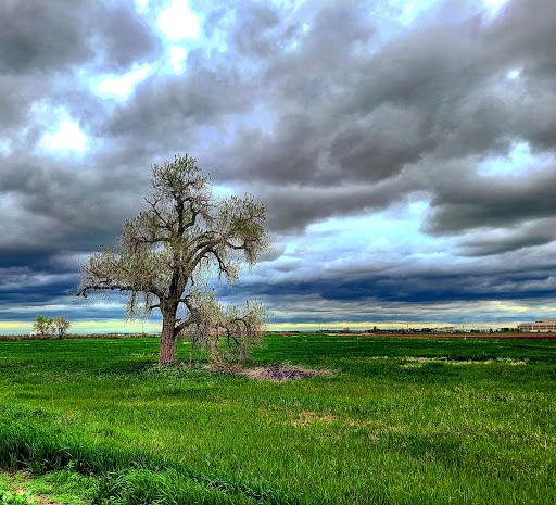 Poudre River Trail - Thumbnail